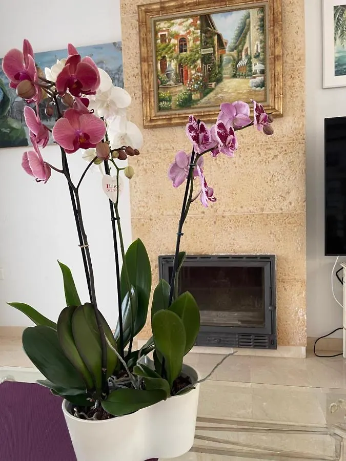 Villa With Heated Private Pool, Sea View& Turkish Sauna Benalmadena